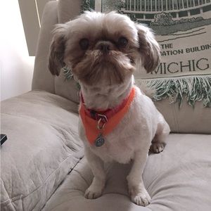 Meet your Posher, Tonja